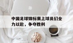 九游官网-中国足球锦标赛上球员们全力以赴，争夺胜利的简单介绍