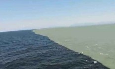 九游体育官方入口-蒙彼利埃欲击败奥尔良，硬仗彼此分不高低的简单介绍