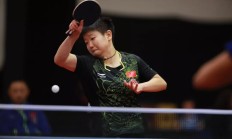 九游娱乐官方网站-瑞典队逆转奥地利队，梁靖崑点燃赛场的简单介绍