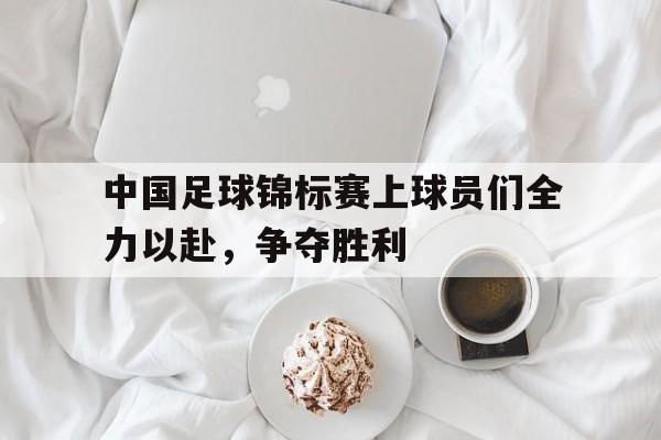 中国足球锦标赛上球员们全力以赴，争夺胜利的简单介绍